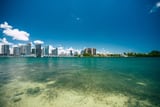 305 by SALTY RIVER thumbnail