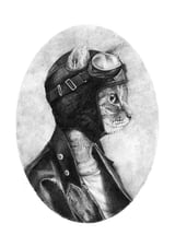 Pilot by Mike Koubou thumbnail