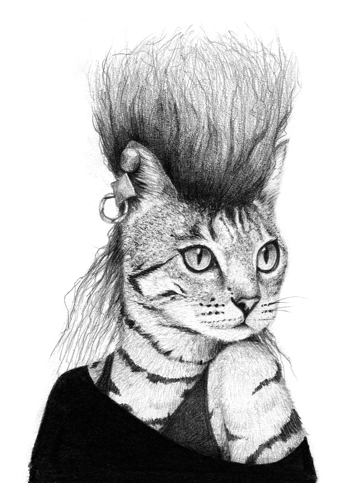 Cat by Mike Koubou