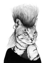 Cat by Mike Koubou thumbnail