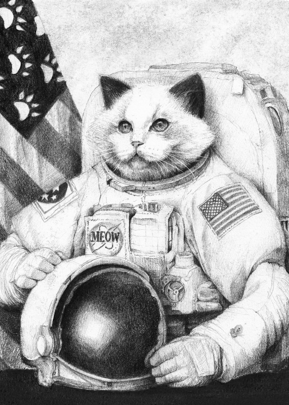 Meow Out in Space by Mike Koubou