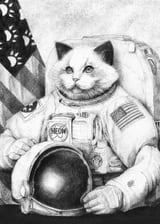 Meow Out in Space by Mike Koubou thumbnail
