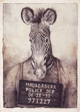 Mugshot by Mike Koubou thumbnail