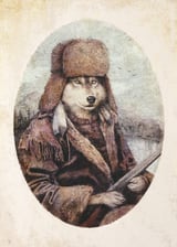 Mountain Wolf by Mike Koubou thumbnail