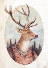 Wild Wanderer by Mike Koubou thumbnail