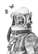 Butterflies in Space by Mike Koubou thumbnail