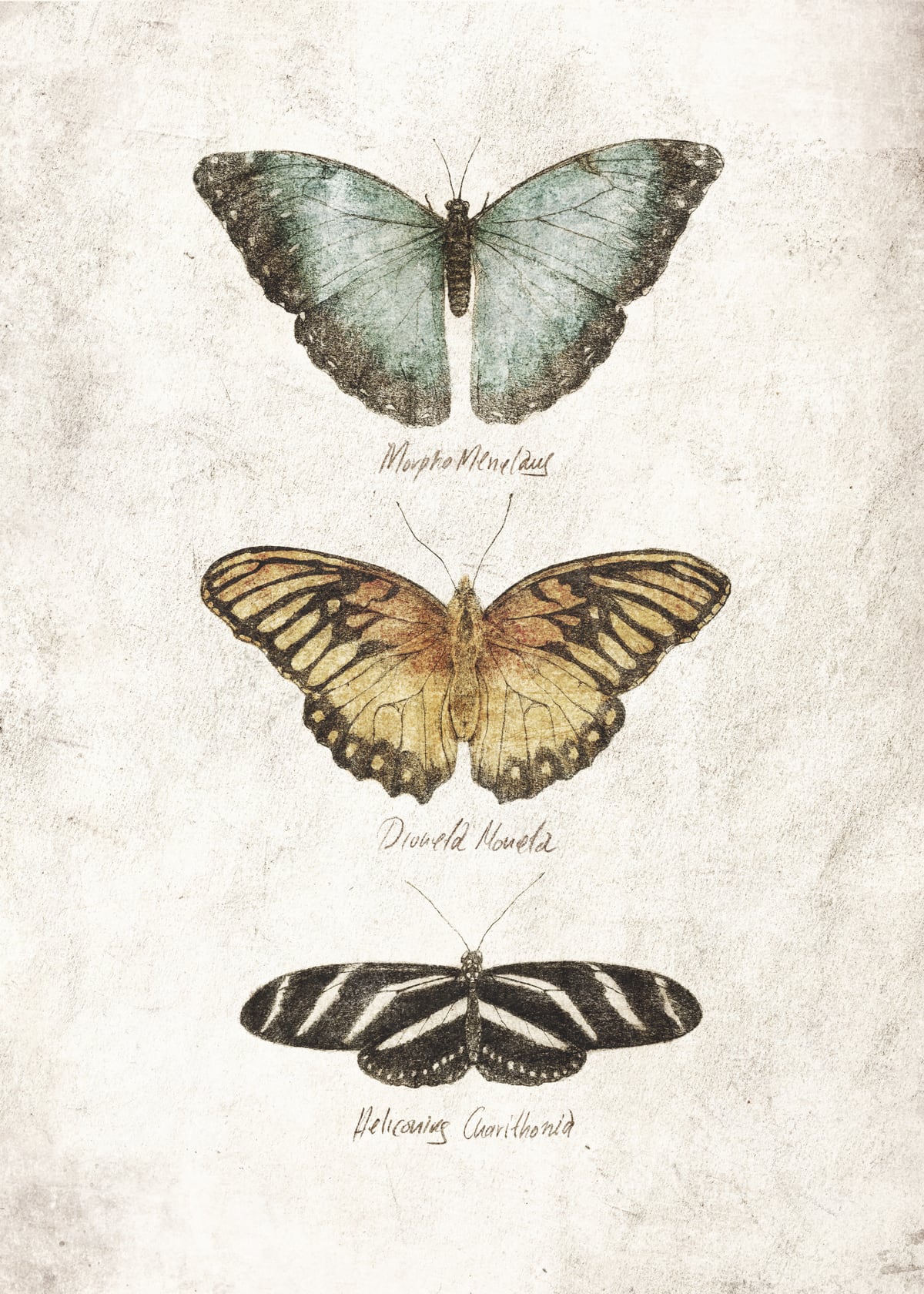 Butterflies II by Mike Koubou