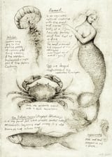 Sea Animals by Mike Koubou thumbnail