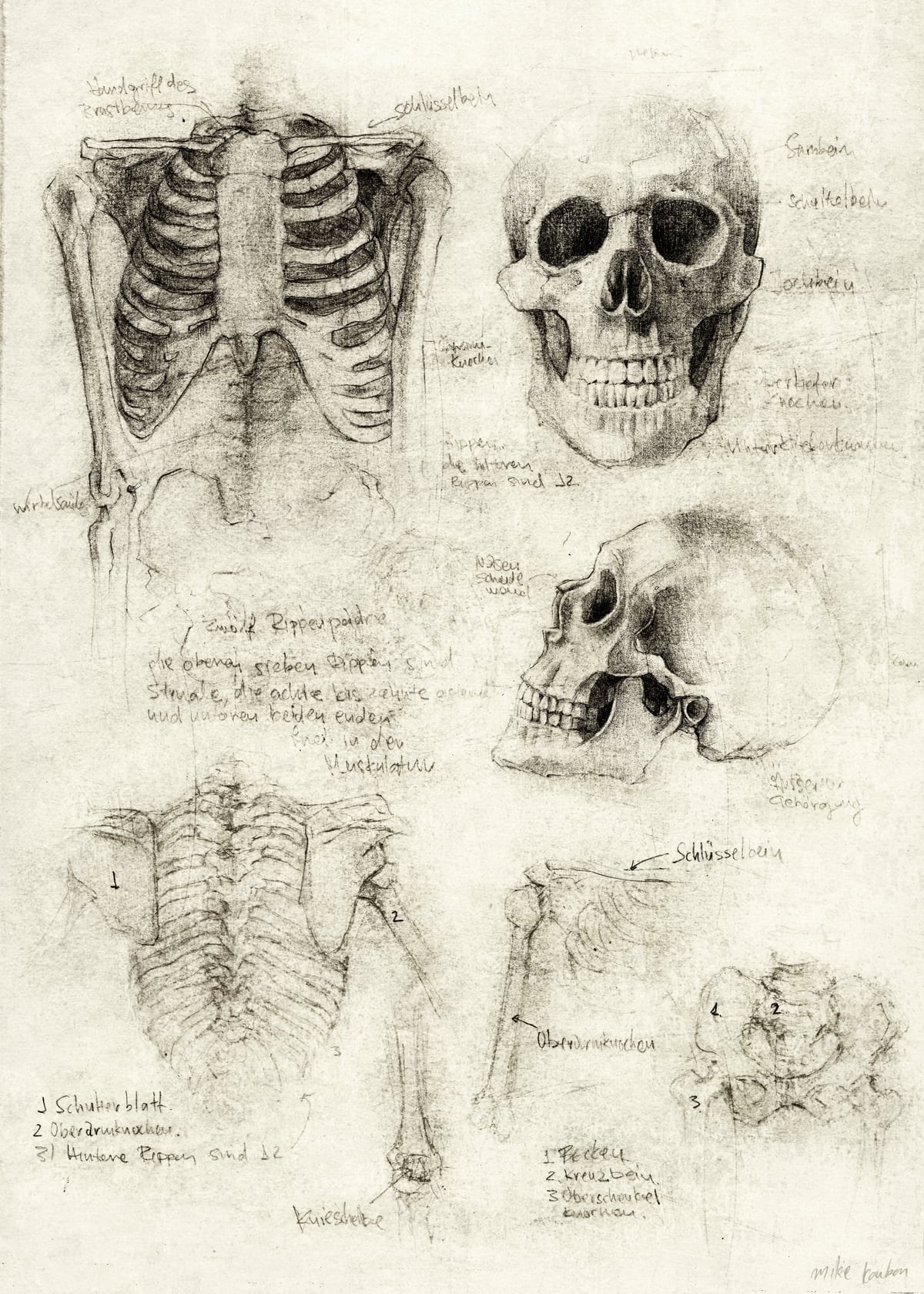 Skeleton by Mike Koubou