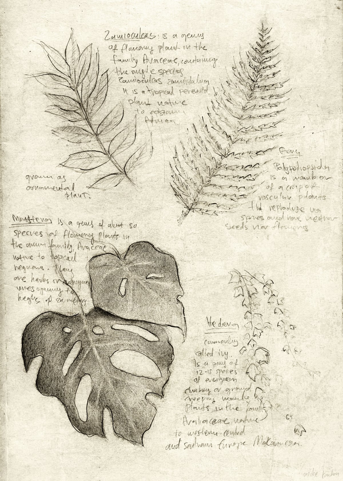 Plants by Mike Koubou