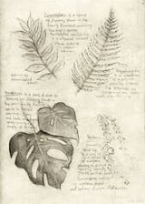 Plants by Mike Koubou thumbnail