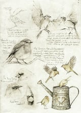 Birds by Mike Koubou thumbnail