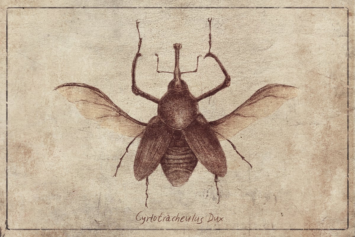 Cyrtotracheulus Dux by Mike Koubou