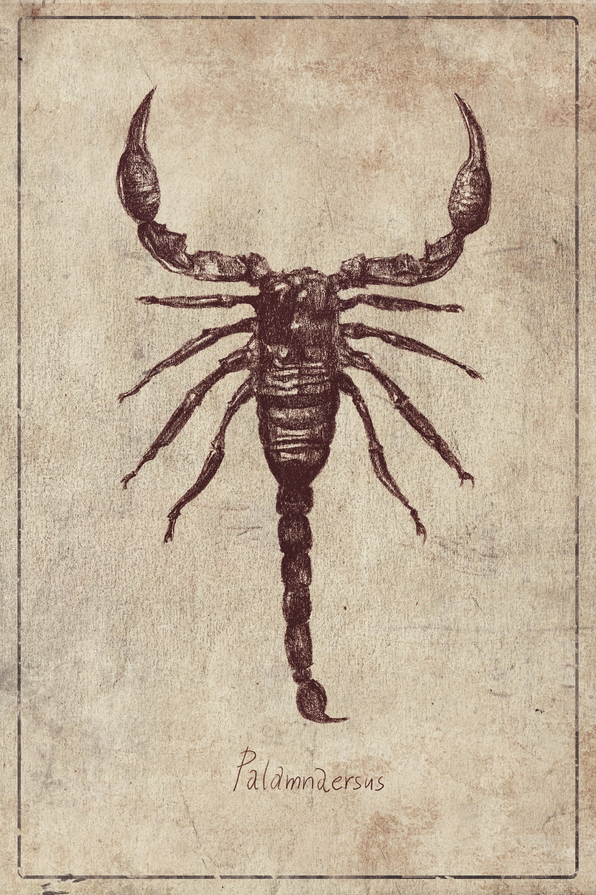 Palamnaersus by Mike Koubou