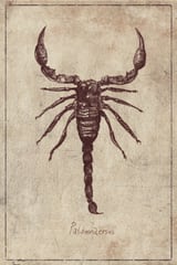 Palamnaersus by Mike Koubou thumbnail