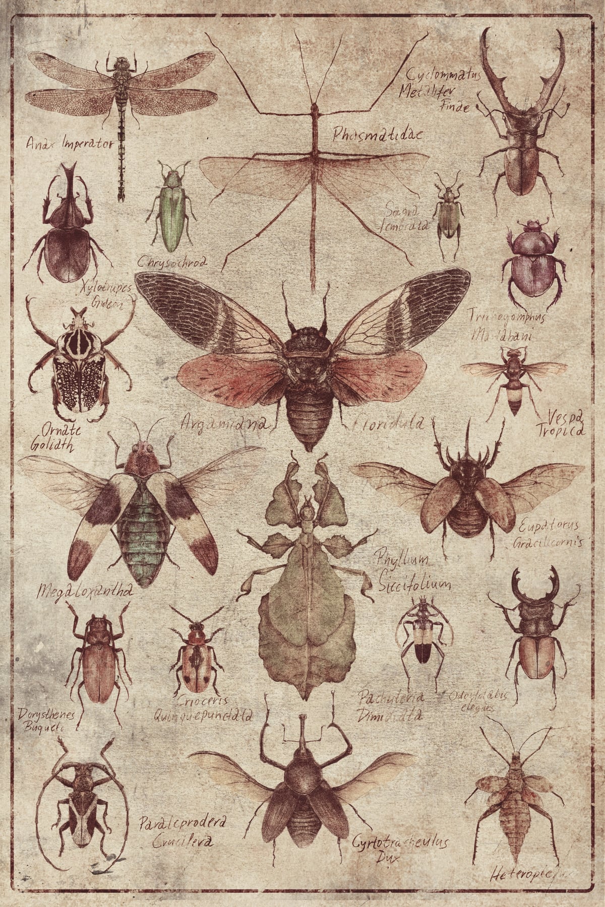 Insects  by Mike Koubou