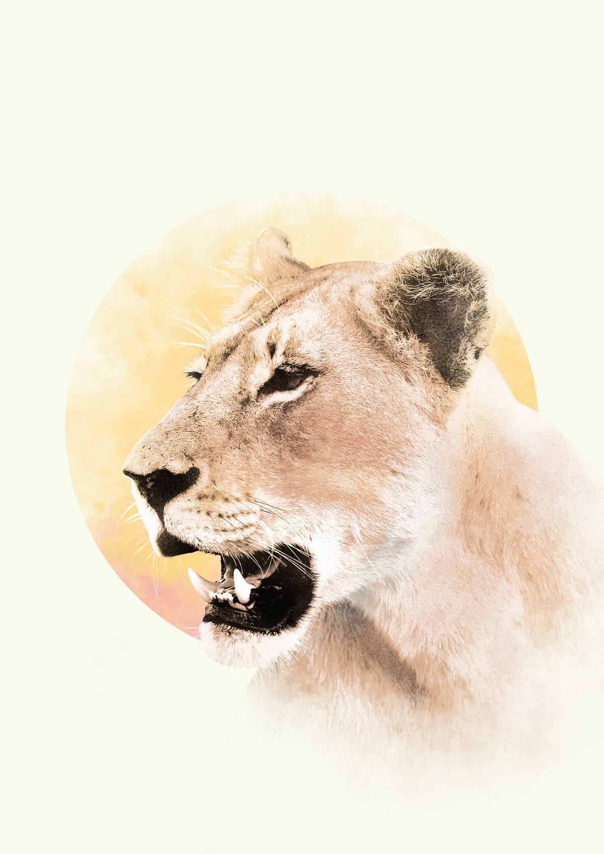 Lioness by Eva