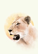 Lioness by Eva thumbnail