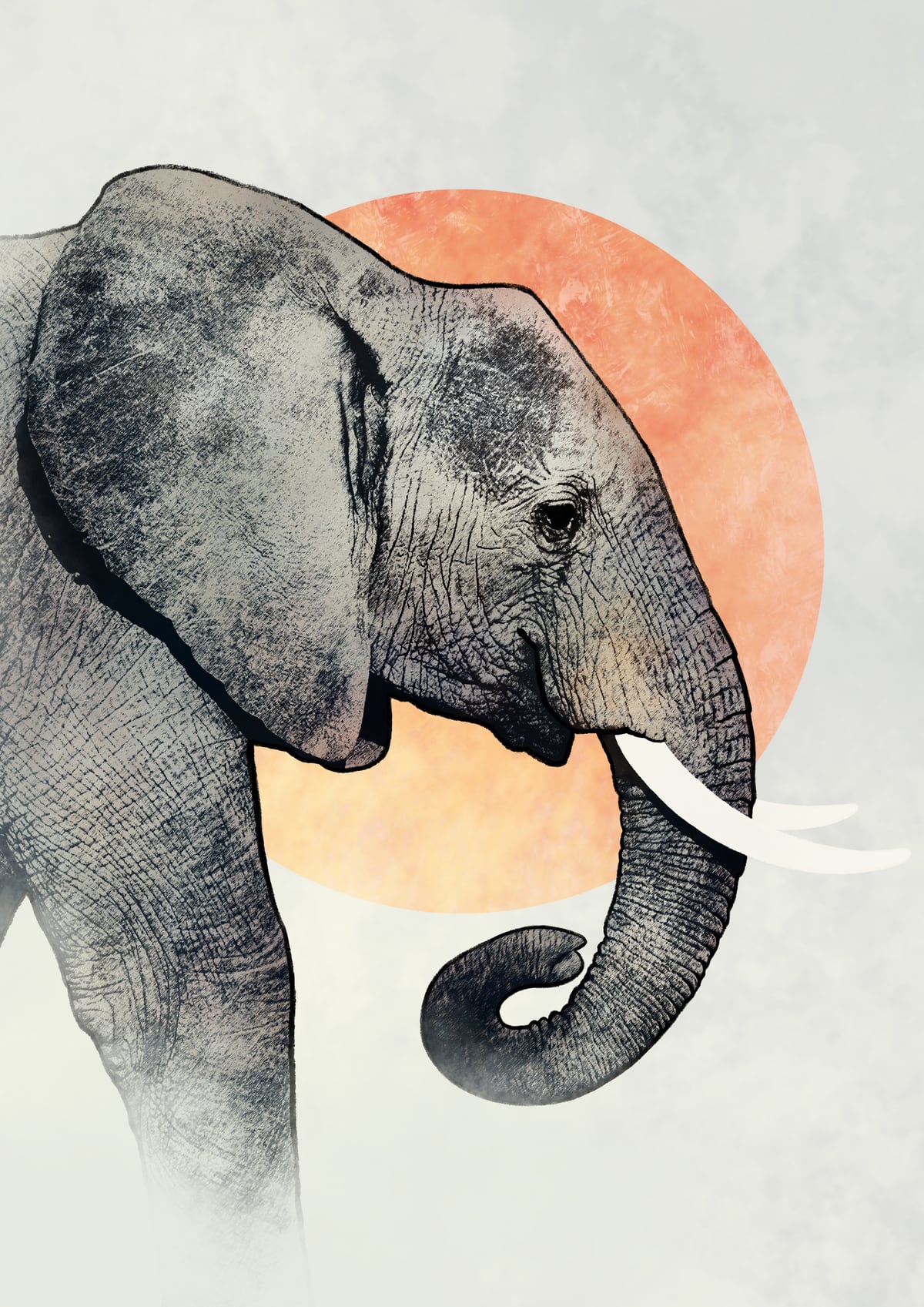 Elephant by Eva