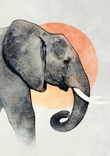 Elephant by Eva thumbnail