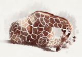 Giraffe by Eva thumbnail