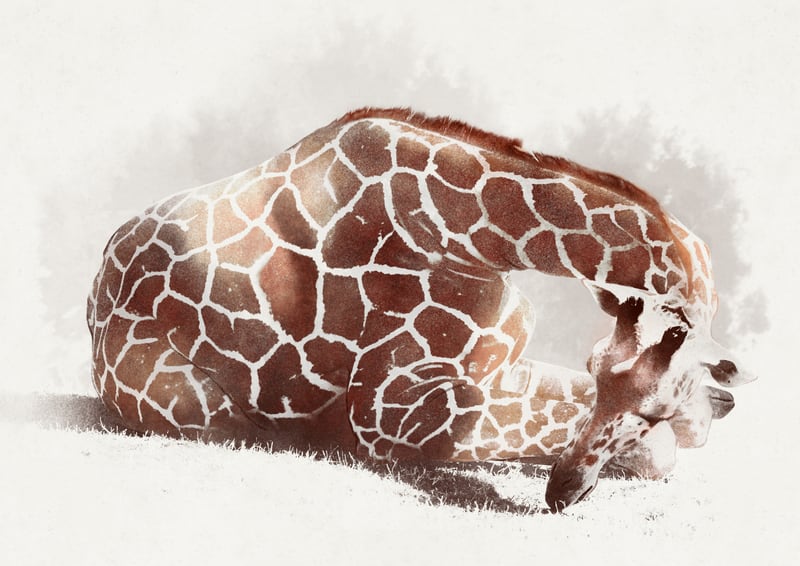 Giraffe by Eva