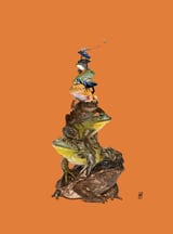 Toadstool (Colour) by Rob Snow thumbnail