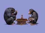 The Pawns (Colour) by Rob Snow thumbnail
