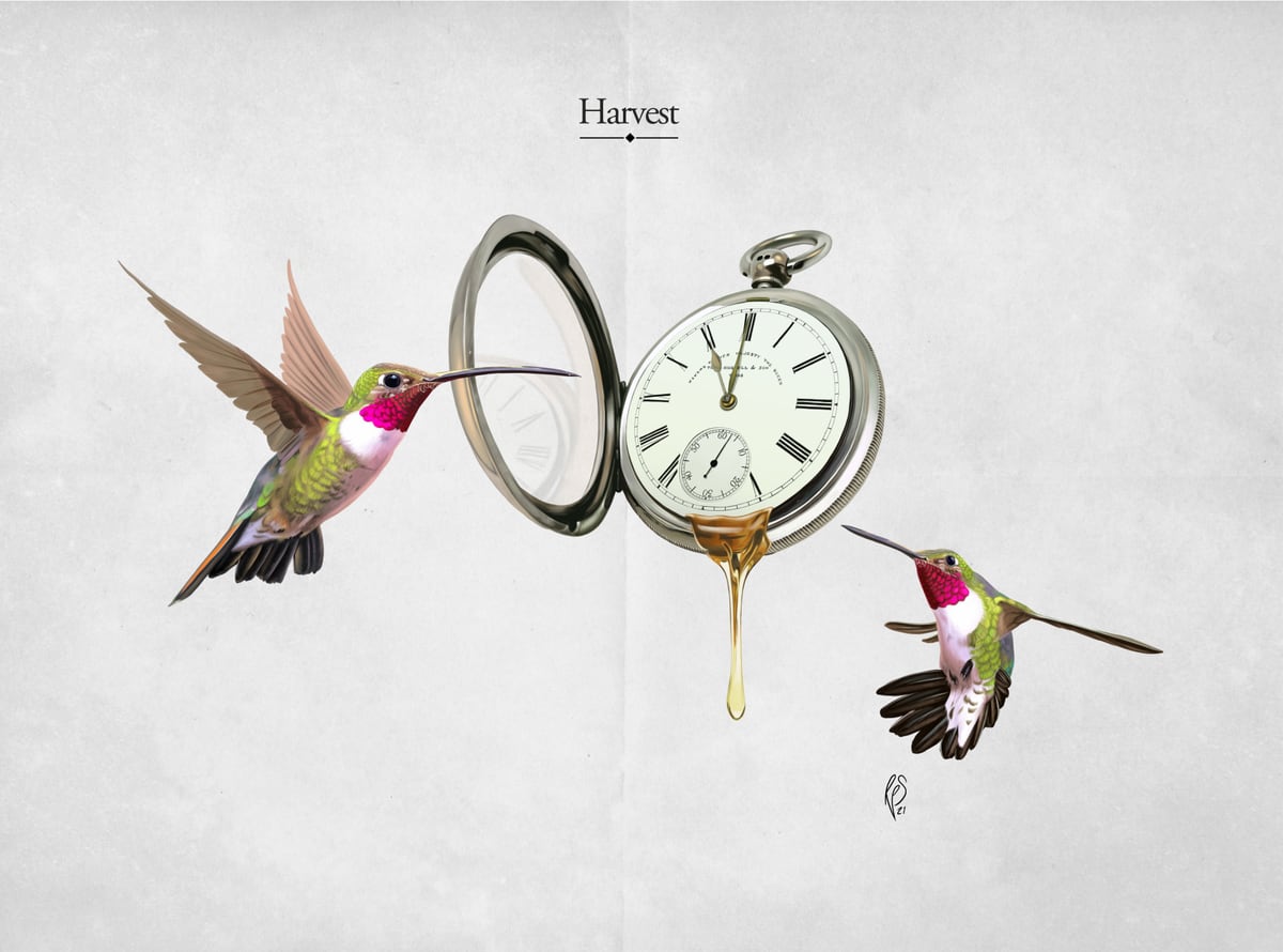 Harvest (Titled) by Rob Snow
