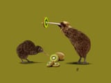 Kiwi (Colour) by Rob Snow thumbnail