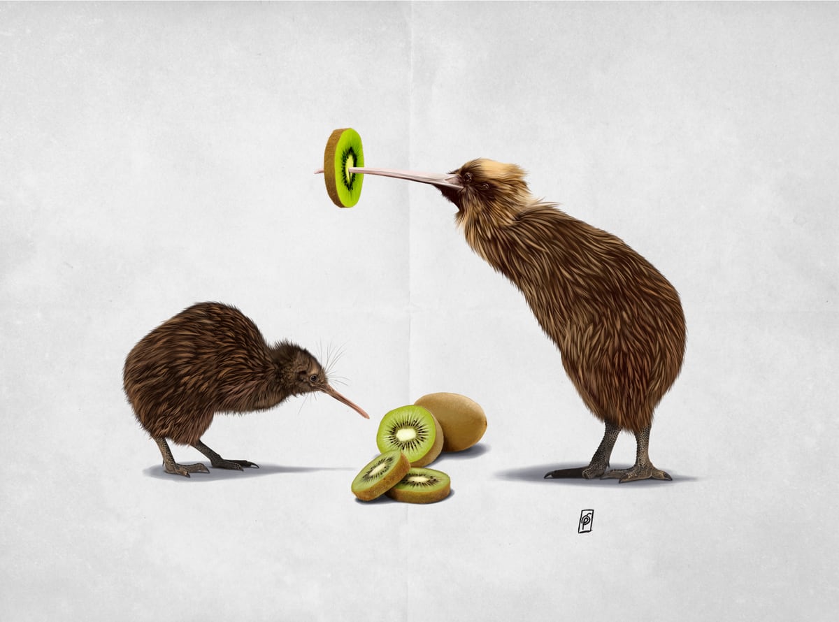 Kiwi (Wordless) by Rob Snow