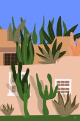 Plants Are My Home by Sifa Mustafa thumbnail