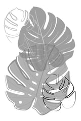 Grey Leaves by Martina thumbnail