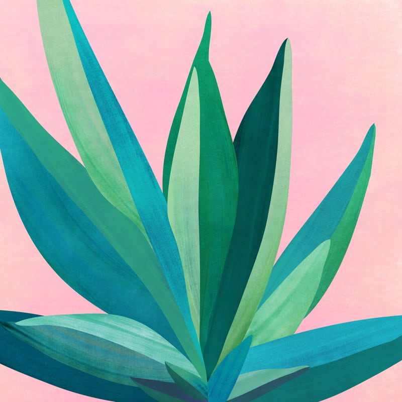 Southwest Agave by Modern Tropical