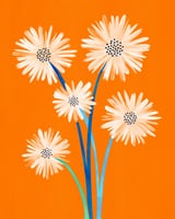 Moroccan Daisies by Modern Tropical thumbnail