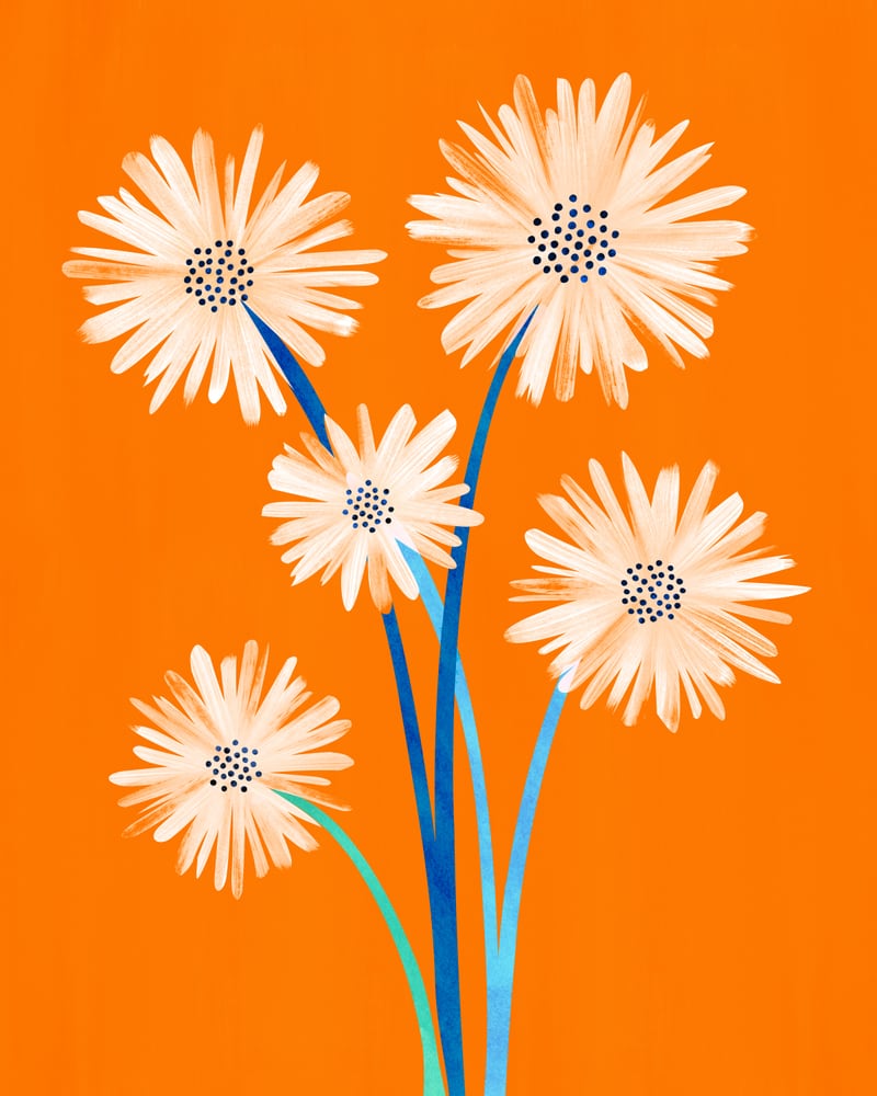 Moroccan Daisies by Modern Tropical