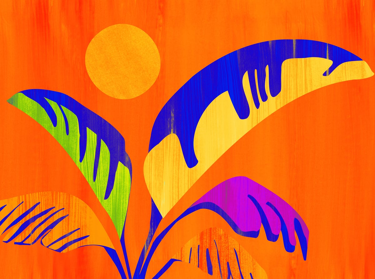 Summer Heat by Modern Tropical