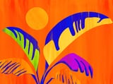 Summer Heat by Modern Tropical thumbnail
