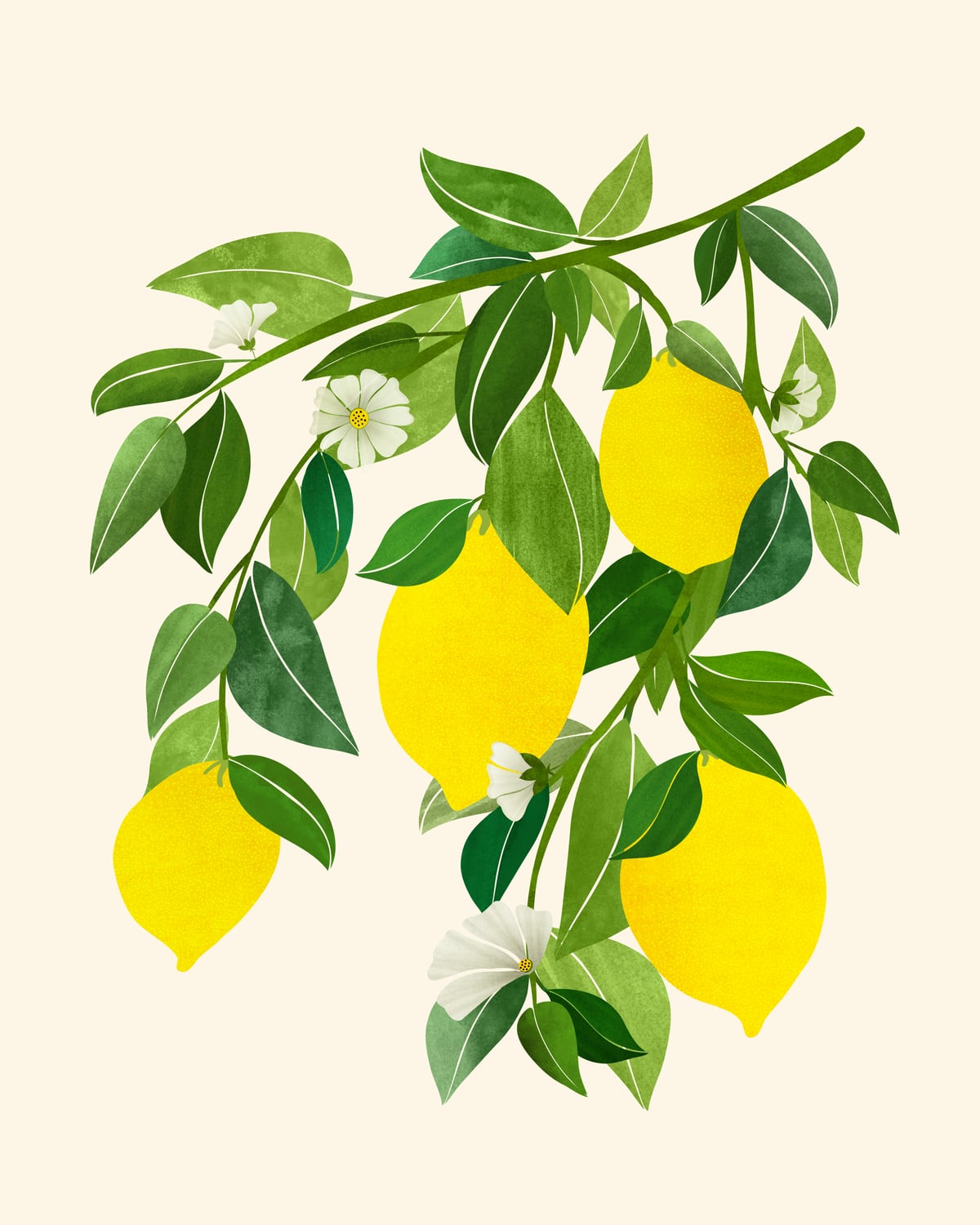 Sunny Lemons by Modern Tropical