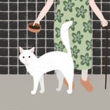 Cat 5: I love you so much by Jennifer van der Meer thumbnail