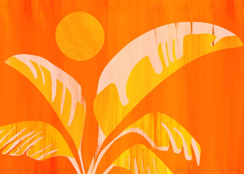 August Afternoon by Modern Tropical