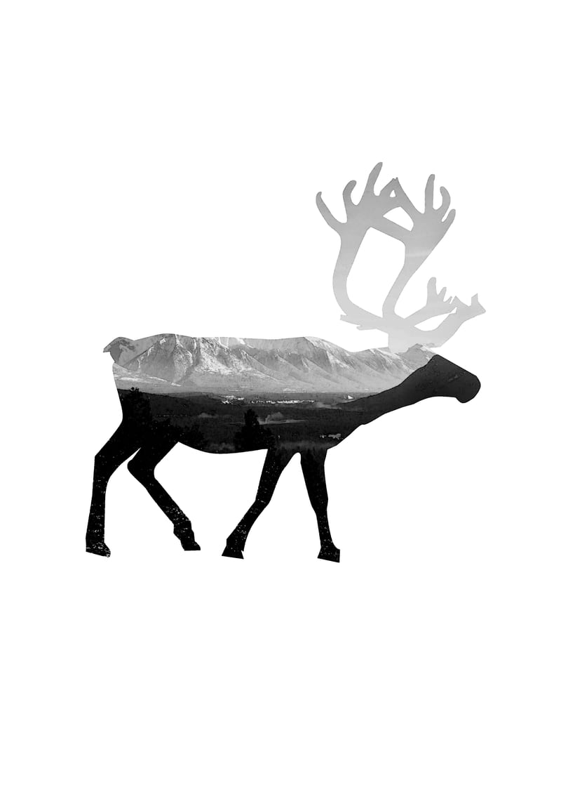 30 by THE NEW BLACK DESIGN