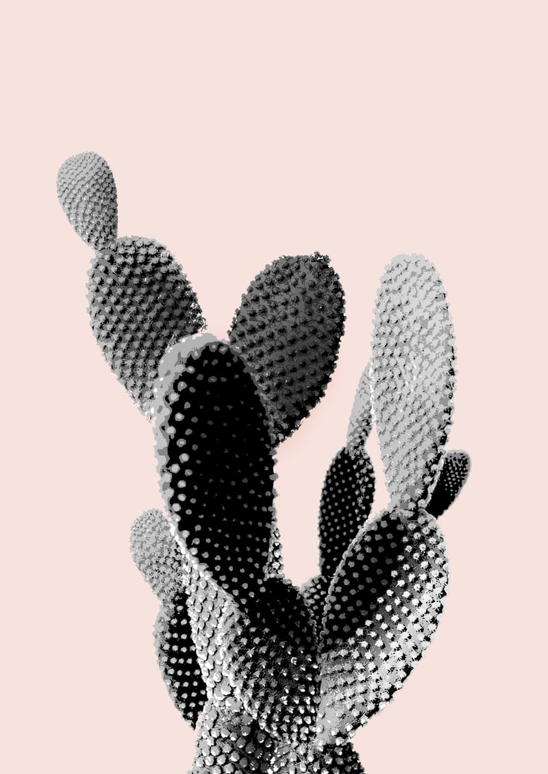 50 by THE NEW BLACK DESIGN