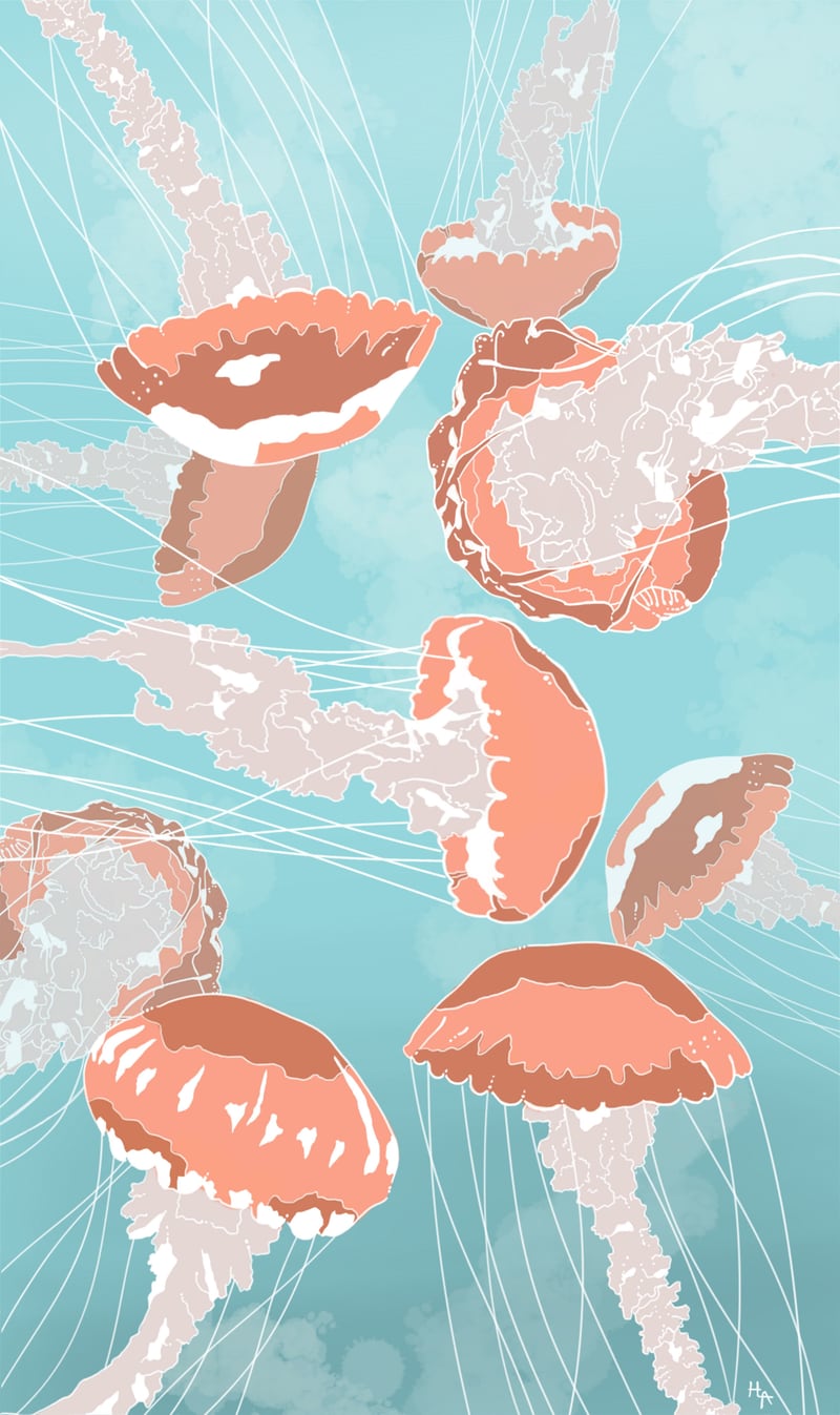 Jellyfish by Hypathie Aswang