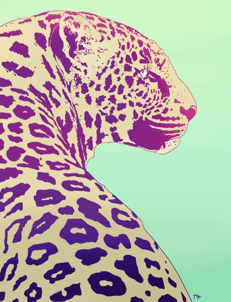 Leopard Under The Sun by Hypathie Aswang