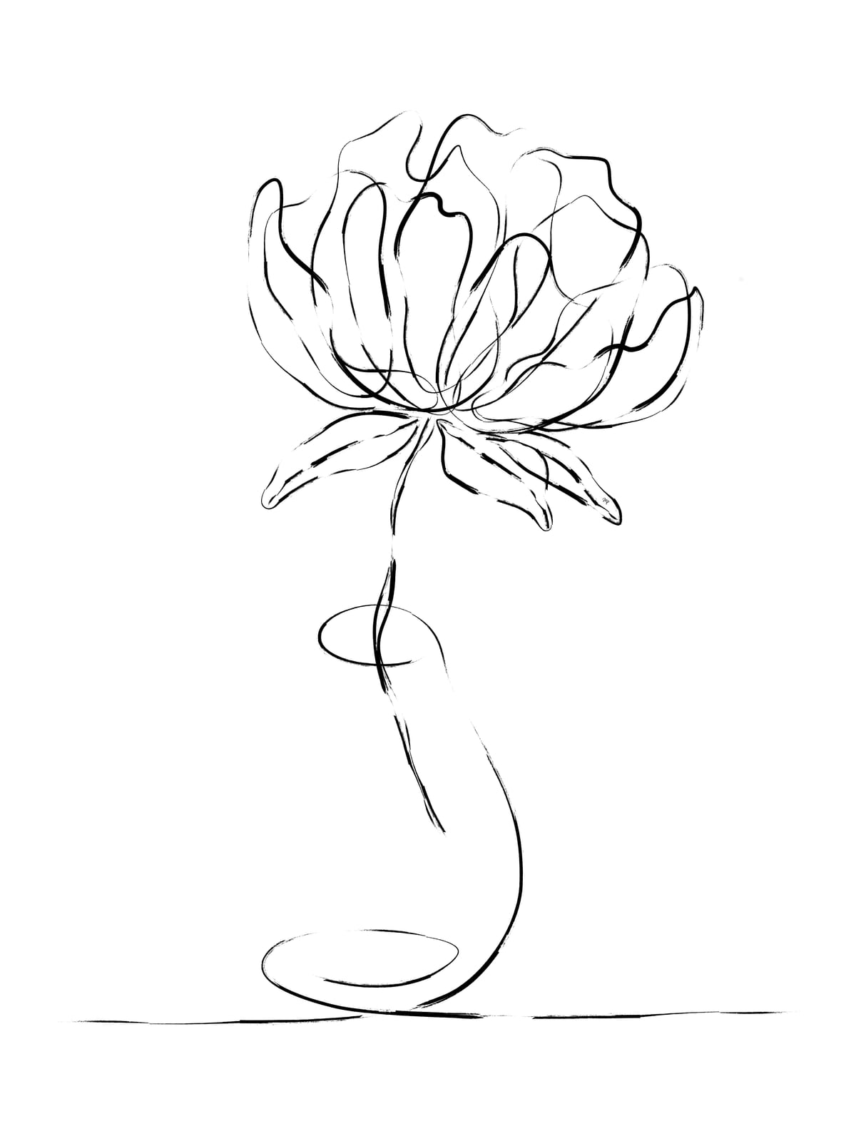 Bloom by Martina
