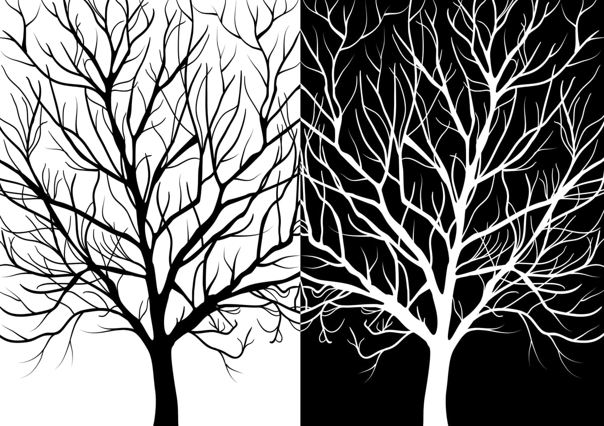 Winter Trees by Martina