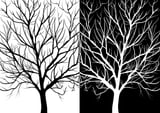 Winter Trees by Martina thumbnail