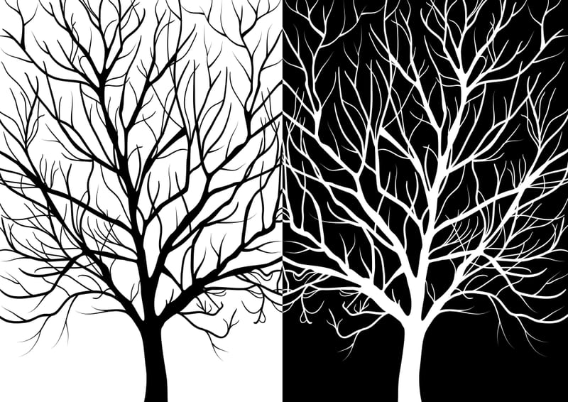 Winter Trees by Martina