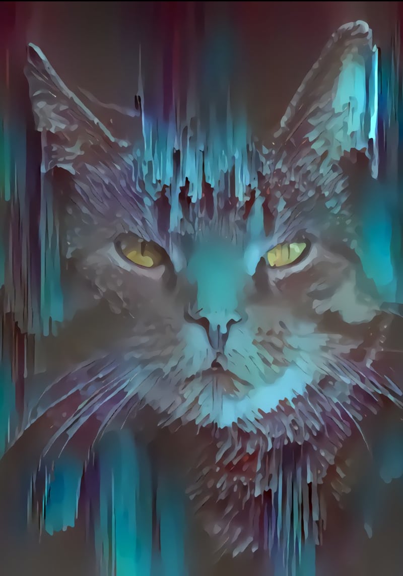 Alice's Cat by Monica Amorim
